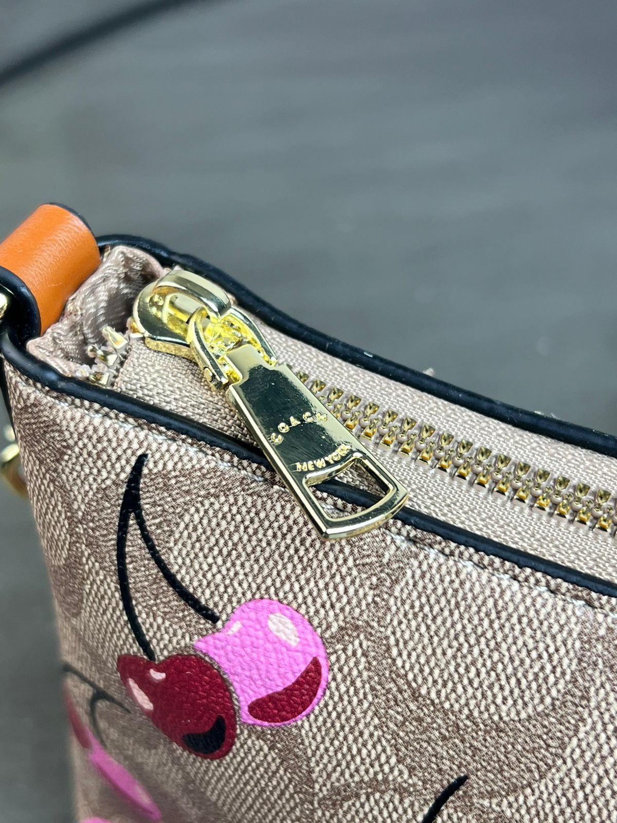 IMPORTACION BAGUETTE COACH AZUL KHAKI CEREZAS