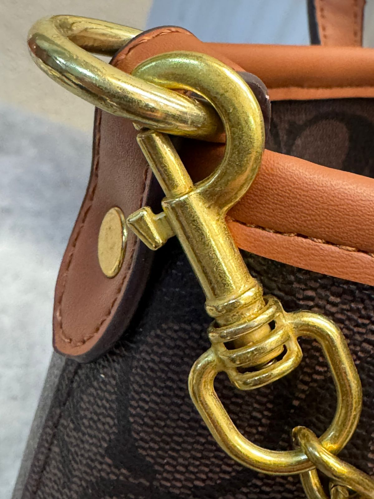 BOLSO COACH DIJES NEGRO CEREZAS